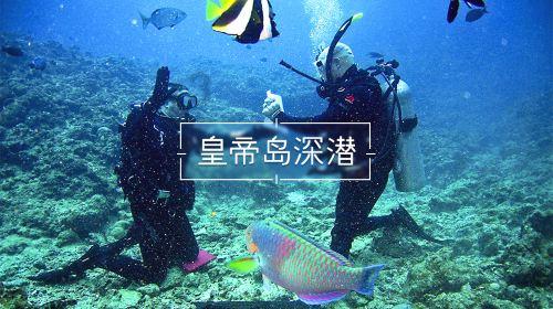 姜四清在山阴县开展蹲点式调研时强调 学习践行“千万工程”经验 有力有效提升乡村产业发展水平、建设水平、治理水平