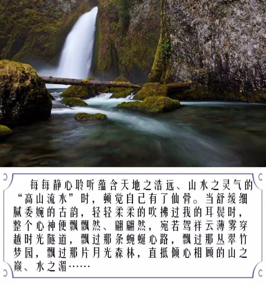 金刚鹦鹉逃生
